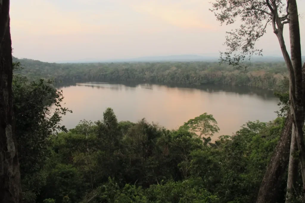 Bolivia Amazon River Forest Green