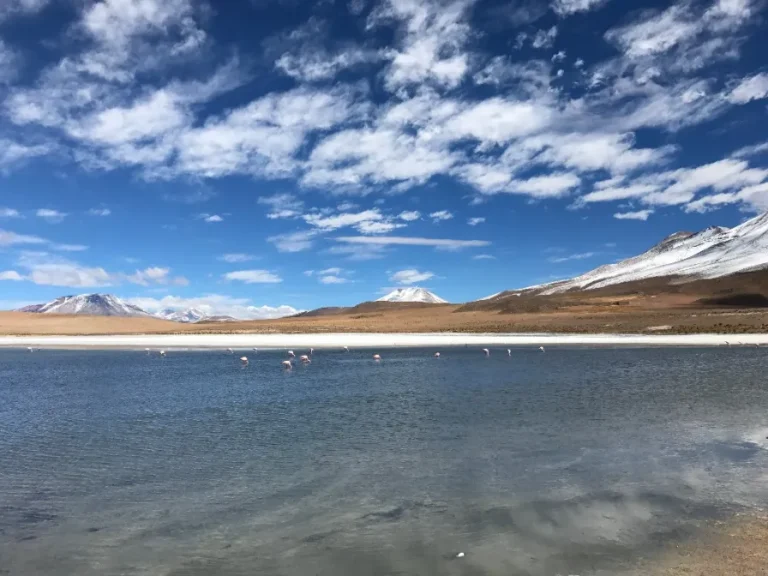 What Is the Climate in Bolivia? A Quick Guide to Seasons & Regions