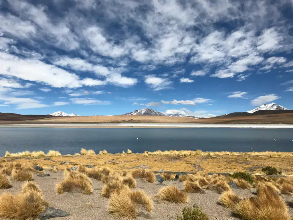 Lagoon and snow-capped peaks in the Bolivian Altiplano with yellow grass and blue skies