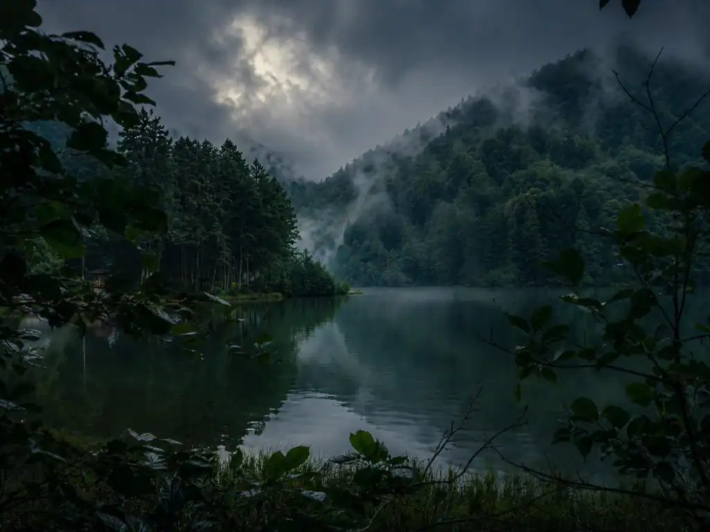Mist rolling across a rainforest lake surrounded by dense forest near Rurrenabaque