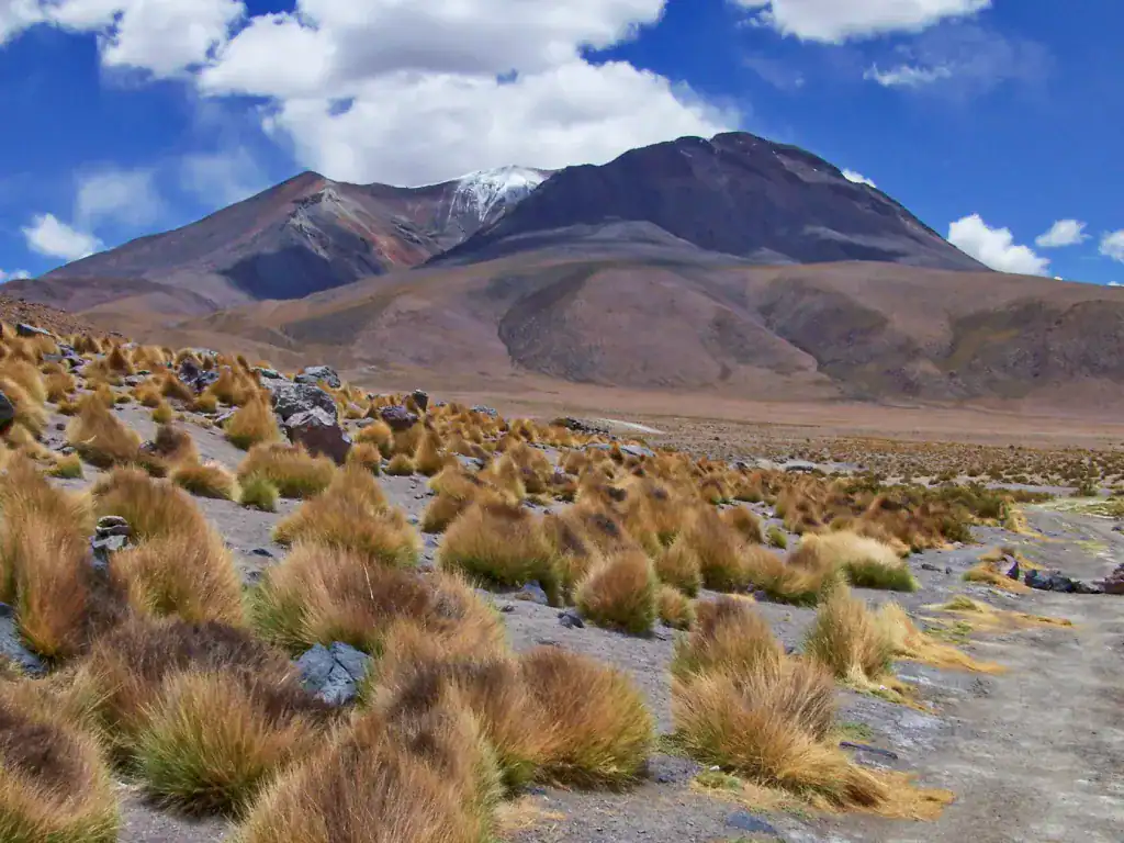 High-altitude landscape near Potosí, Bolivia featuring rugged mountains beneath a bright blue sky.
