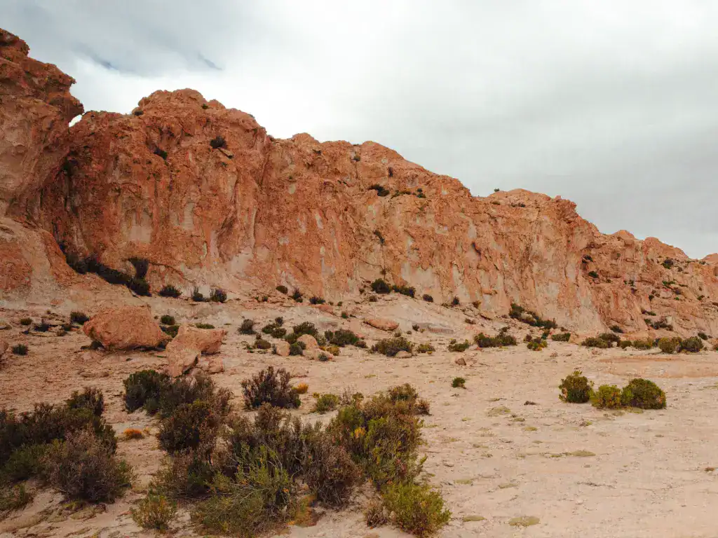 Rocky Andean scenery near Potosí, Bolivia with striking cliffs and desert vegetation.
